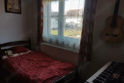 Casă cu 3 camere cu Teren 5700 Mp în Viile Satu Mare - 6