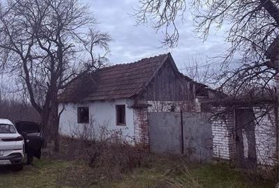Casă cu 4 camere în Răpsig - 3