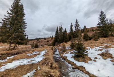7858 mp TEREN SUPERB CU PARAU SI IZVOARE, BELIS - FANTANELE, Cluj - Transilvania - 8