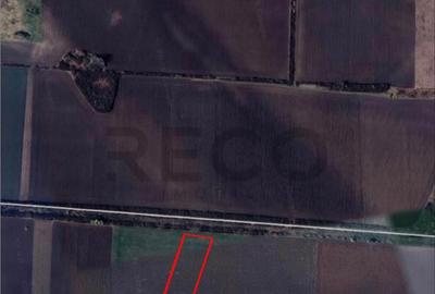 RECO Teren extravilan 9000mp zona Bors - 1