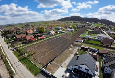 Teren Construcții intravilan de 10262 mp, în Nord-Est - 1