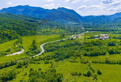 Teren Construcții intravilan de 10000 mp, în Glăjărie - 8