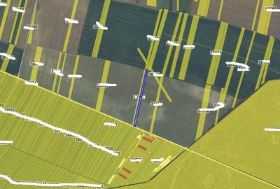 Teren extravilan Varvoru de Jos, jud Dolj - 3