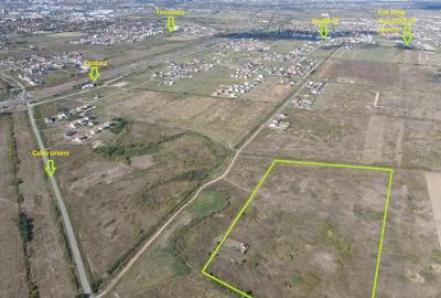 Teren in Mo?ni?a Noua - Oportunitate de investitie - 2