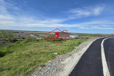 Teren Construcții extravilan de 5976 mp, în Sud-Est - 5