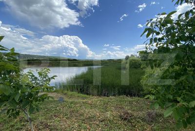 Teren extravilan 10000 mp, cu balta de peste, Salaj, Sarmasa - 1