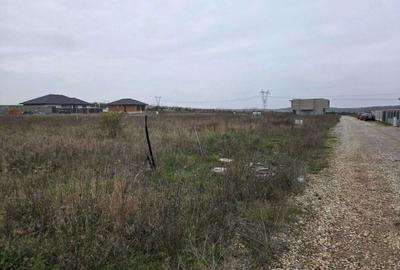 Spațiu comercial, în Cihei - 4