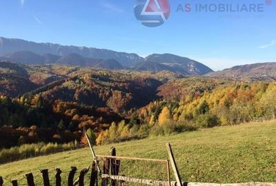 Teren intravilan cu priveliste superba catre munti, Moeciu de Jos - 2