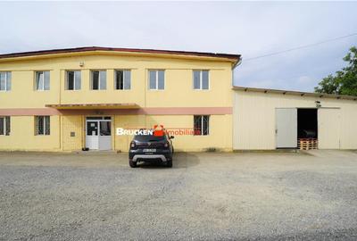 Oportunitate de investitie | Hala Parc Industrial 1 - 25