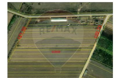 Teren în Sântion - 1