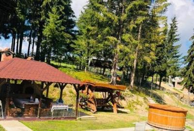 Casa de vacanta, 4 camere, 119 mp utili, 2300 mp de teren, M Casa de vacanta, 4 camere, 119 mp utili, 2300 mp de teren, M - 2