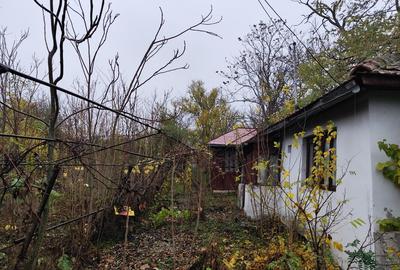 Casa batraneasca plus teren 1600mp Toporu jud. Giurgiu - 9
