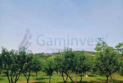 Teren Construcții intravilan de 4076 mp, în Dealuri Oradea - 4