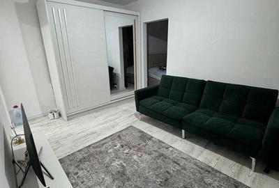 Apartament cu 2 camere semidecomandat în Valea Rosie - 2