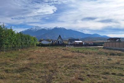 Teren 1000mp cu PUZ in Rasnov, Glajerie - 10