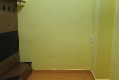 Apartament cu 2 camere semidecomandat în Iancului - 13