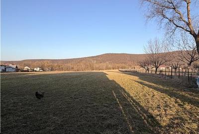 Casă individuală cu 4 camere cu Teren 8400 Mp în Pătrăuți - 16