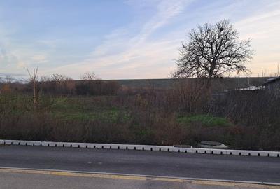 Teren în Cornetu - 9