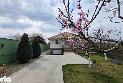 Casă cu 3 camere cu Teren 1008 Mp în Sânmartin - 17