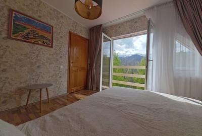 PESTERA CASA DE VANZARE - MOECIU! - 20