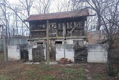 Teren de 5610 mp, în Șimand - 3