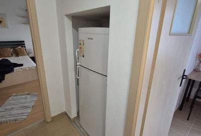 Garsoniera decomandata bloc 2009 Parcul Brancusi, Valea Ialomitei - 11