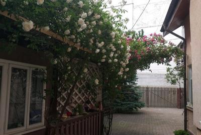 Casă cu Teren 350 Mp în Precista - 5