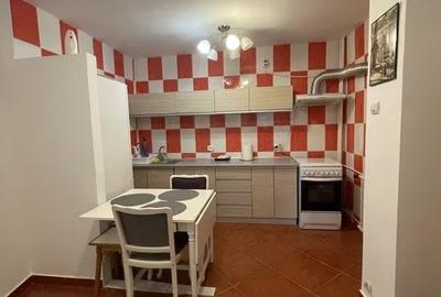 Inchiriere Apartament 2 Camere Tineretului - 5