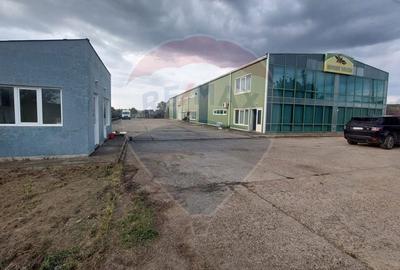 Spațiu comercial, de 880 mp, în Muntenii de Jos - 15