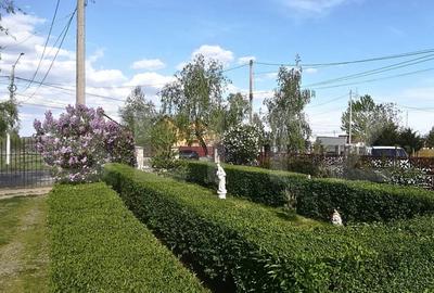 Casă cu 5 camere cu Teren 3000 Mp în Teiș - 2