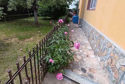 Casă cu 4 camere în Șipotu - 3