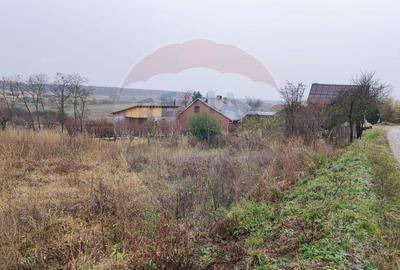 Teren de 12818 mp, în Sântimreu - 3