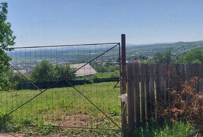 Moinesti - Teren Intravilan - 1