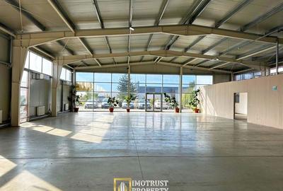 Hala mixta 800 mp de inchiriat – showroom, birouri, depozit – Arad - 3