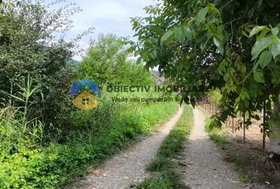 Teren intravilan com. Alexandru cel Bun- Viisoara - 13