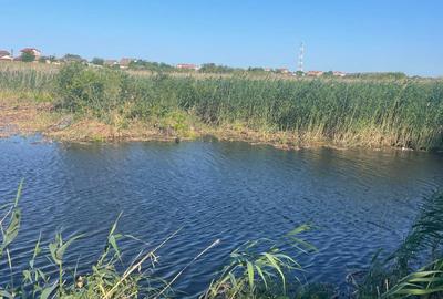 Teren intravilan 4.200 mp Murighiol - 9