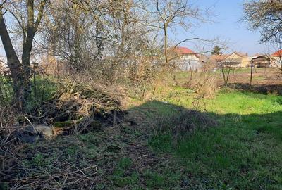 Casă cu 3 camere cu Teren 542 Mp în Sântion - 13