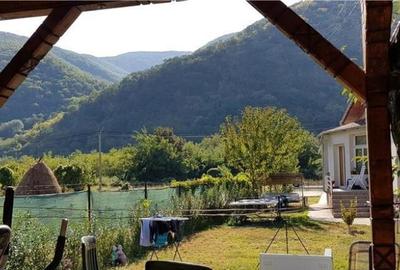 Casa de vacanta in Herculane - ID : RH-23254-property - 2