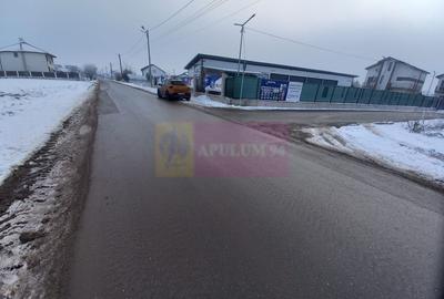 Teren Domnesti de vanzare - 3