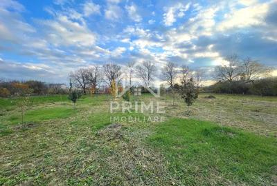 Teren de 2200 mp, în Pâclișa - 2