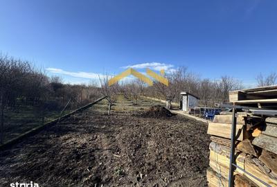 Casă cu 3 camere cu Teren 1000 Mp în Săcălaz - 1