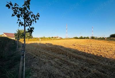 Teren în Lilieci - 3