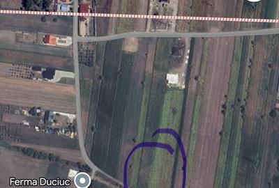 Spațiu comercial, în Ipotești - 2