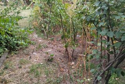 Teren de 608 mp, în 23 August - 2