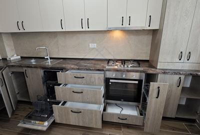 Lux aproape de Continental. Intrare Mosnita, dupa Hornbach. - 4
