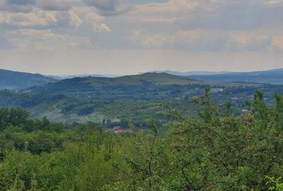 Teren Construcții intravilan de 9000 mp, în Ogretin - 1
