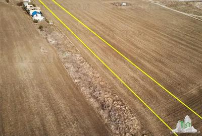 Teren extravilan de vanzare 5 000 mp Techirghiol Agigea cu potential de intrare in intravilan Teren extravilan de vanzare 5 000 mp Techirghiol Agigea cu potential de intrare in intravilan - 2