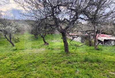 Spațiu comercial, în Gemenea-Brătulești - 6