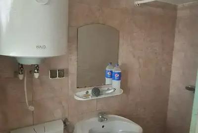 Casa la curte voluntari - 10
