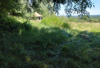 Casă cu 2 camere cu Teren 29500 Mp în Ianculești - 2